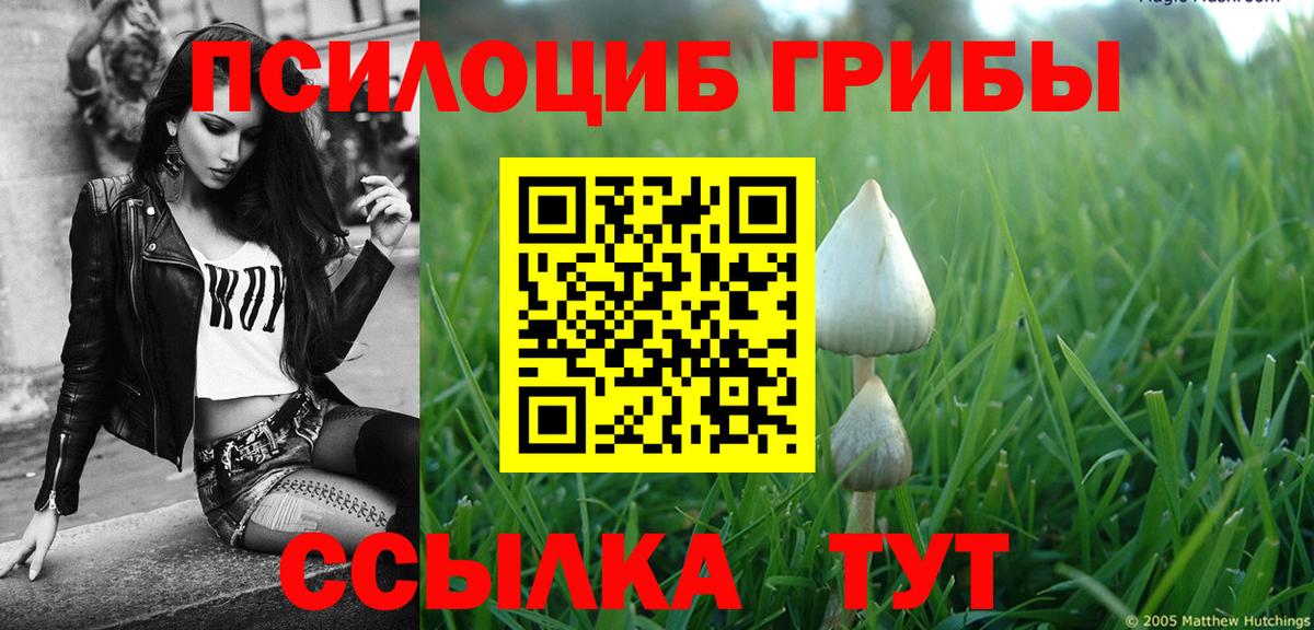Ногинск  Псилоцибиновые грибы прущие грибы  Вход с VPN 